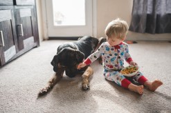 How Pets Can Help Instill Responsibility in Children