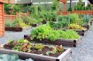 Step-by-Step: Planning and Preparing Your Vegetable Garden