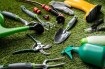 The Best Garden Tools to Help Beginners Achieve Gardening Success