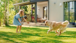 A Step-by-Step Guide: How to Introduce a New Pet to Children