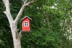 Step-by-Step Guide: How to Build a Simple Birdhouse for Beginners